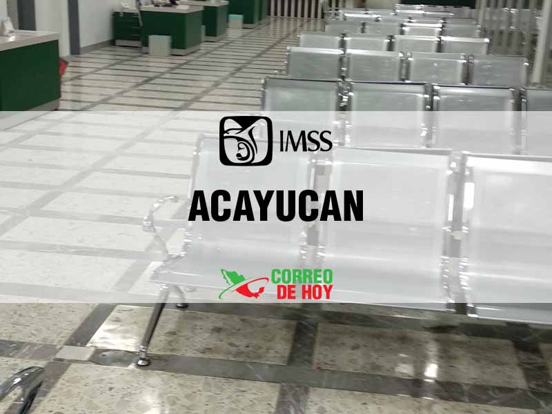 Clnicas IMSS en Acayucan Ver - Telfono, Direccin y Horario de Atencin