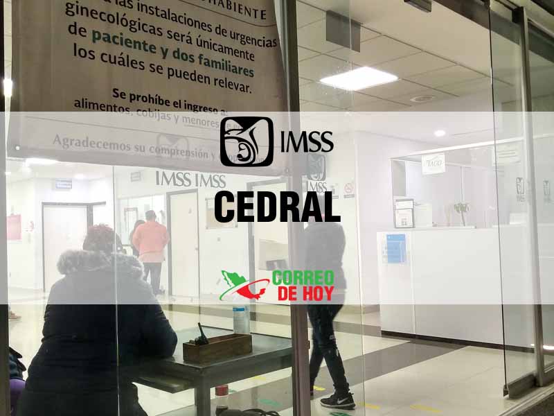 Cl�nicas IMSS en Cedral SLP - Tel�fono, Direcci�n y Horario de Atenci�n